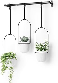 Umbra Triflora Hanging Planter for Window, Indoor Herb Garden, Set of 3,...