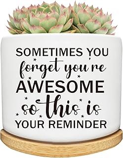 Succulent Cactus Cute Planter Pots with Bamboo Tray, Office Kitchen Home...