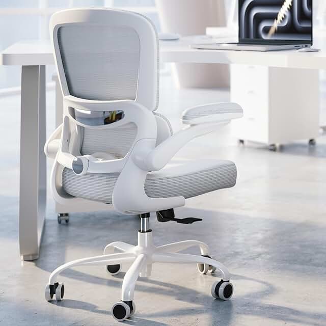 TRALT Ergonomic Office Chair - Desk Chair with Adjustable Lumbar Support...