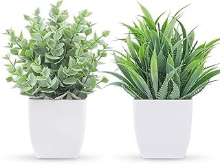 Der Rose 2 Pack Small Fake Plants Mini Artificial Potted Plants for Tabl...