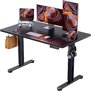 ErGear Height Adjustable Electric Standing Desk, 48 x 24 Inches Sit Stan...