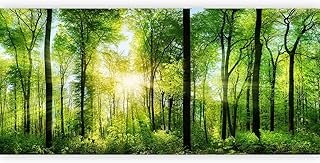 artgeist Wall Mural Peel and Stick Forest 212x98 in - XXL Self-Adhesive ...