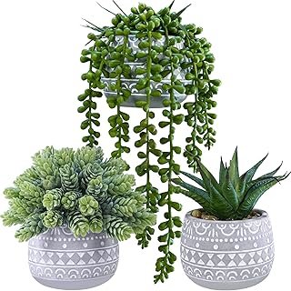 Winlyn 3 Pcs Assorted Small Potted Succulent Plants Artificial Aloe Hops...